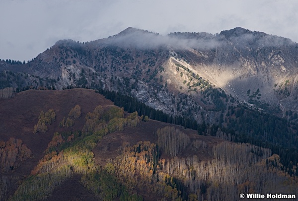 Aspen Colors 100515 4825 3