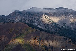 Aspen Colors 100515 4825 3