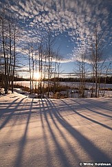 Long Aspen Winter Shadows 021718 2451