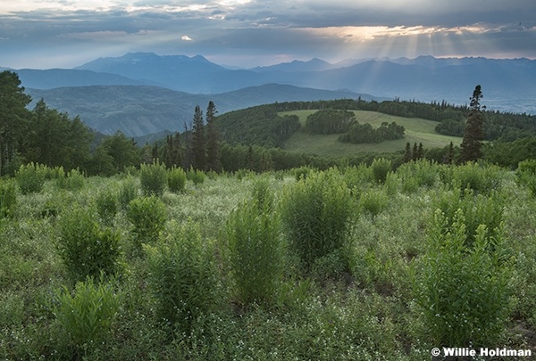 Green Hills Heber Valley 070225 2283