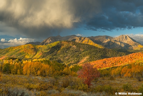 Autumn Timp Ablaze CloudsF 92924 0916