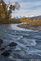 Snow Capped Timpanogos Provo River 102021 7705 7737