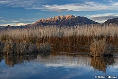 Timpanogos Rust Lake 102217 6118