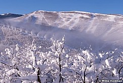 Fresh Snow Park City 011315 3
