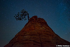 Milky Way Stars Zion 110513 6325