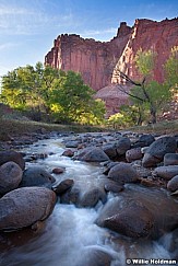 Capitol Reef 050313 8844