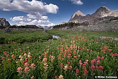 Teton Wildflowers 081119 758 0759