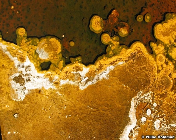 Yellowstoneminerals0002
