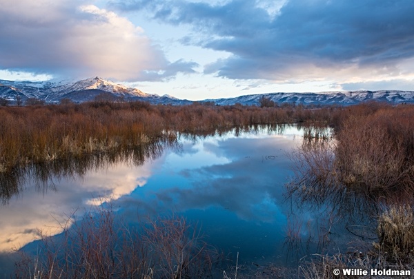 Provo River Blues 022017 6092