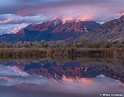 Purple Mountain Majesty Timpanogos 110218