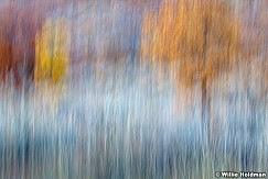 abstractimpressions102110 6792