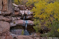 Zion Yellow Cottonwood Waterfall 112424 8183
