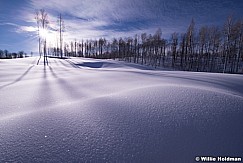 Aspen Shadows Winter 020414 7361