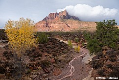 Kinesava peak in zion national park, Utah