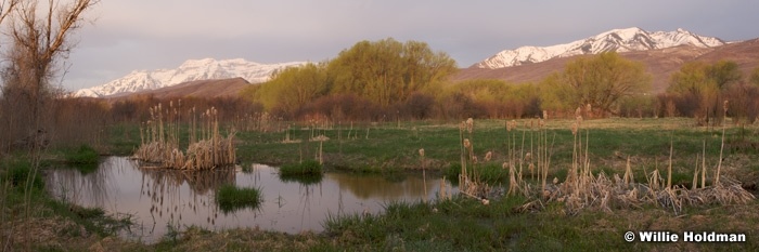 provorivermarshes042309
