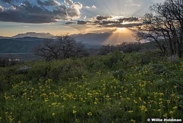 Heber Valley Rays 060417 32351