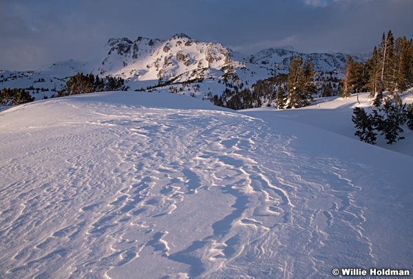 Beartooth Moutain Wind Drift 032018 7027