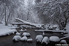 Winter Stream 122115 6009 2