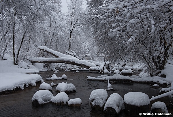 Winter Stream 122115 6009 2