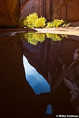 Escalante Reflection Waterhole 110616 2120 3 3