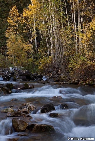 Big Cottonwood Stream 100312 273