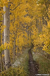Wasatch Yellow Trail 092921 6020