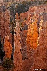 Bryce Canyon HooDoo2 091612 1569