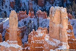 Bryce Canyon Winter Glow 121521 9852