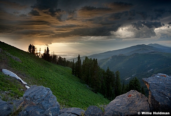 Morganstormworking 206