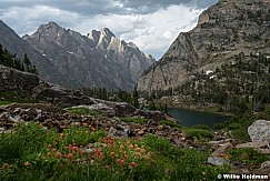 Paintbrush Paintbrush Divide 072323 0176 0176