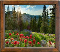 Mat Laminated Print Option for Willie Holdman Photographs