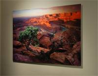 Metal Print Option for Willie Holdman Photographs