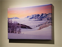 Stretched Metallic Print Option for Willie Holdman Photographs