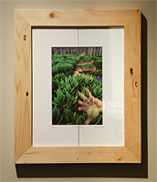 Tru Vue Museum Glass for Willie Holdman Photographs