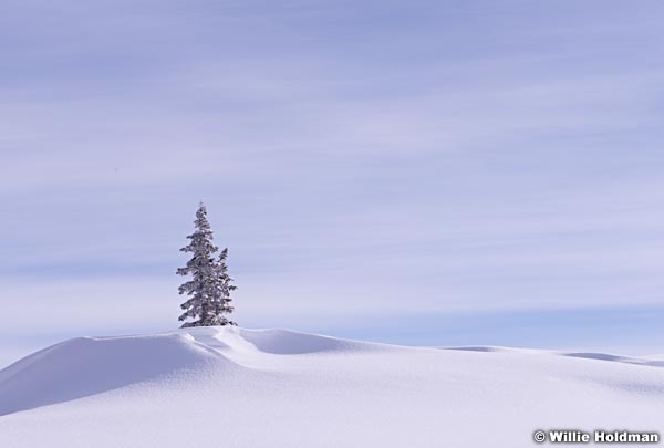 Lone Pine Snow 031815 1004