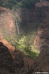 Wiamea Waterfall 101821 7067