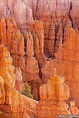 Bryce Canyon hoodoos 032012 84