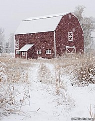Red Barn Snowing 111015 3