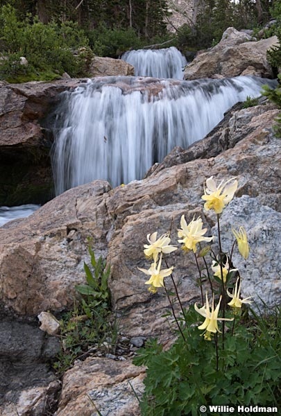 Columbine Waterfall Tetons 091119 1543 3 2