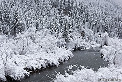 Provo River Snowflakes 022217 6245