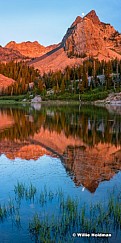 Red Lake Blanche 071616