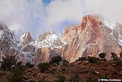 Red Rock Zion Snow 031912 863