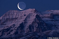 Crescent moon Timp 8878