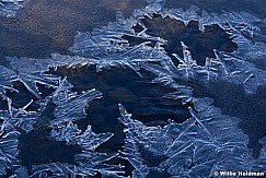 Icepatterns011412 146