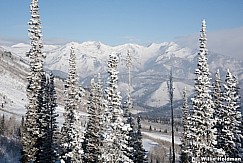 Wasatch Frosty Trees 122915 7653 2