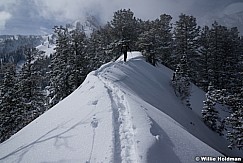 Backcountry Skiing Ridge Line 021819 1827