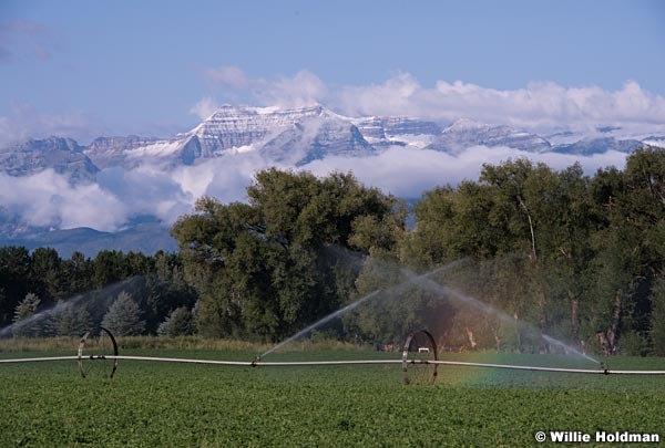 Timpanogos Heber Irrigation 082215 2