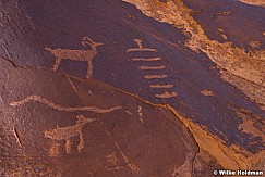 Petroglyphs San Rafael 041214 4897