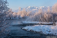 Provo River Frost Timp 011216 9555