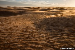 Sand Dune Wind Light 120317 9026 1 of 1 2
